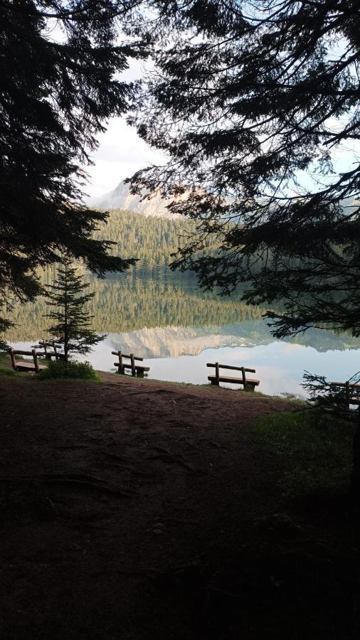 Apartman A&J Žabljak Buitenkant foto