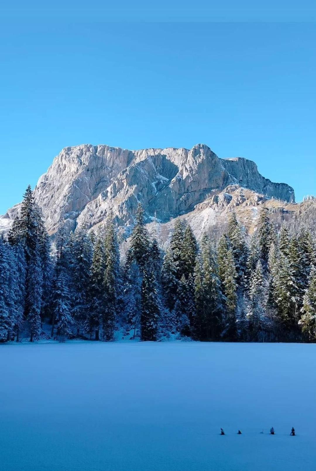 Apartman A&J Žabljak Buitenkant foto